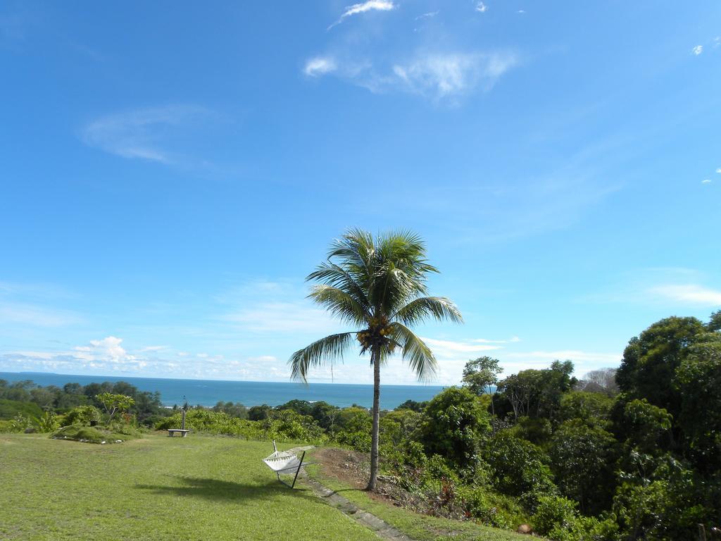 Hotel Lookout Playa Tortuga Ojochal Rum bild